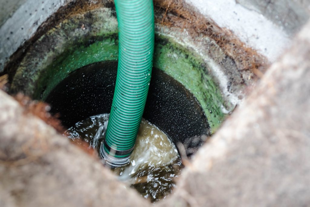 Bacteria Improve Septic Tank